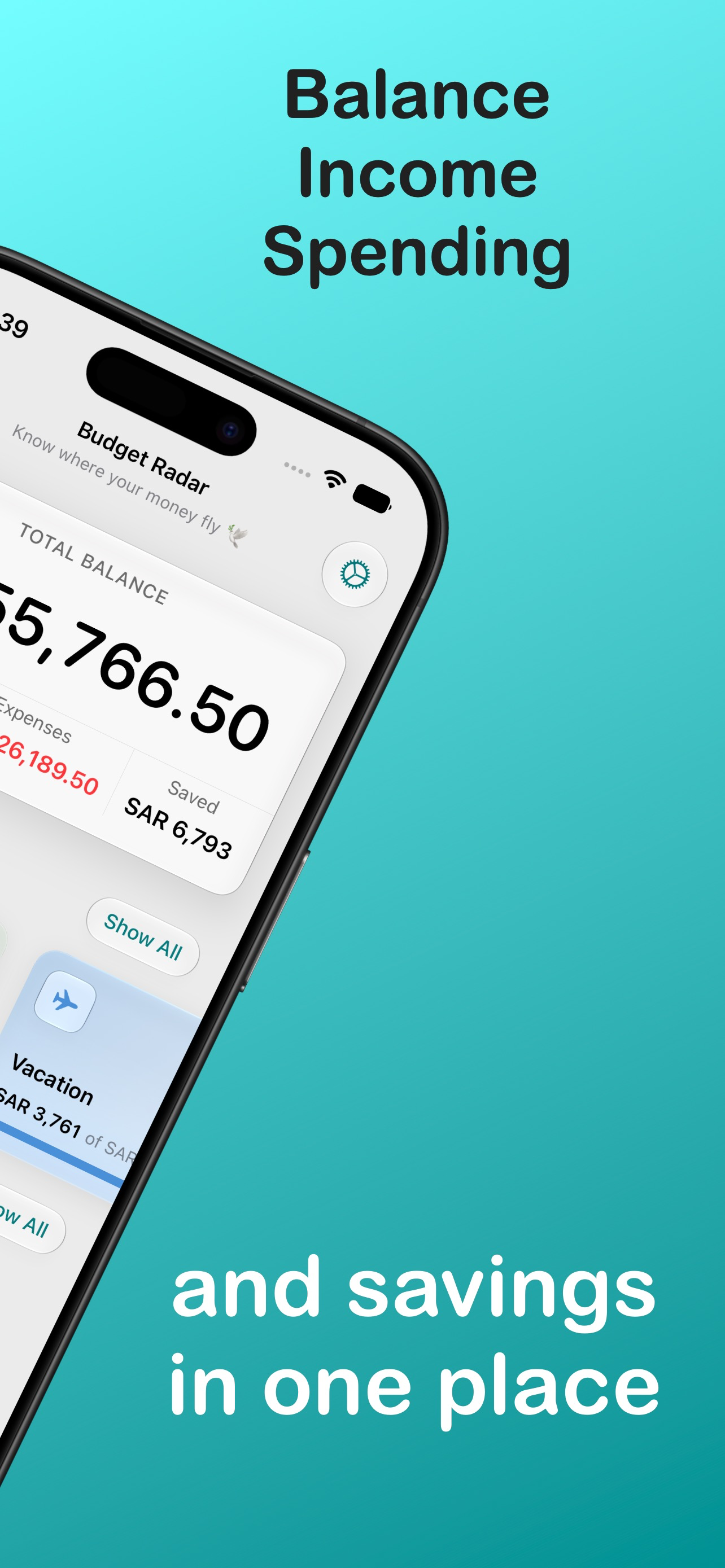 Expense Tracker: Budget Radar screenshot 2
