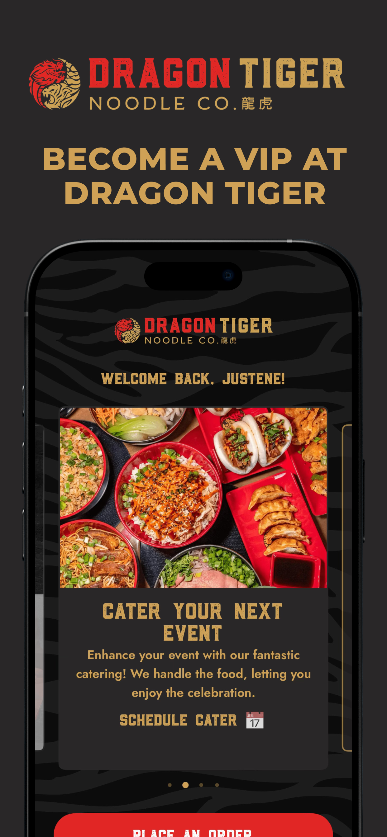 Dragon Tiger Noodle Co