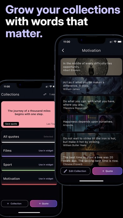 Aesthetic Quotes Widget screenshot