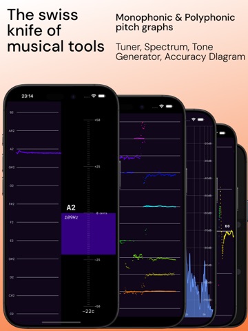 Pitch Diagram: Vocal Tuner ipad screenshot 4