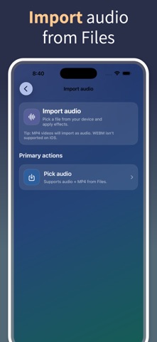 Audio Effects: Voice Changer screenshot