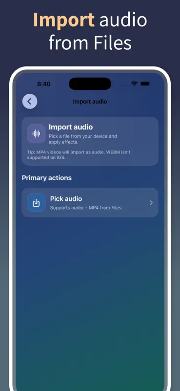 Audio Effects: Voice Changer screenshot 6 of 6