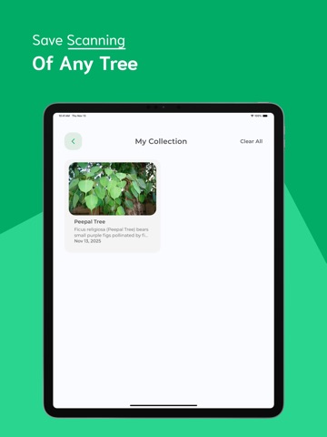 Tree Identifier - TI iPad screenshot