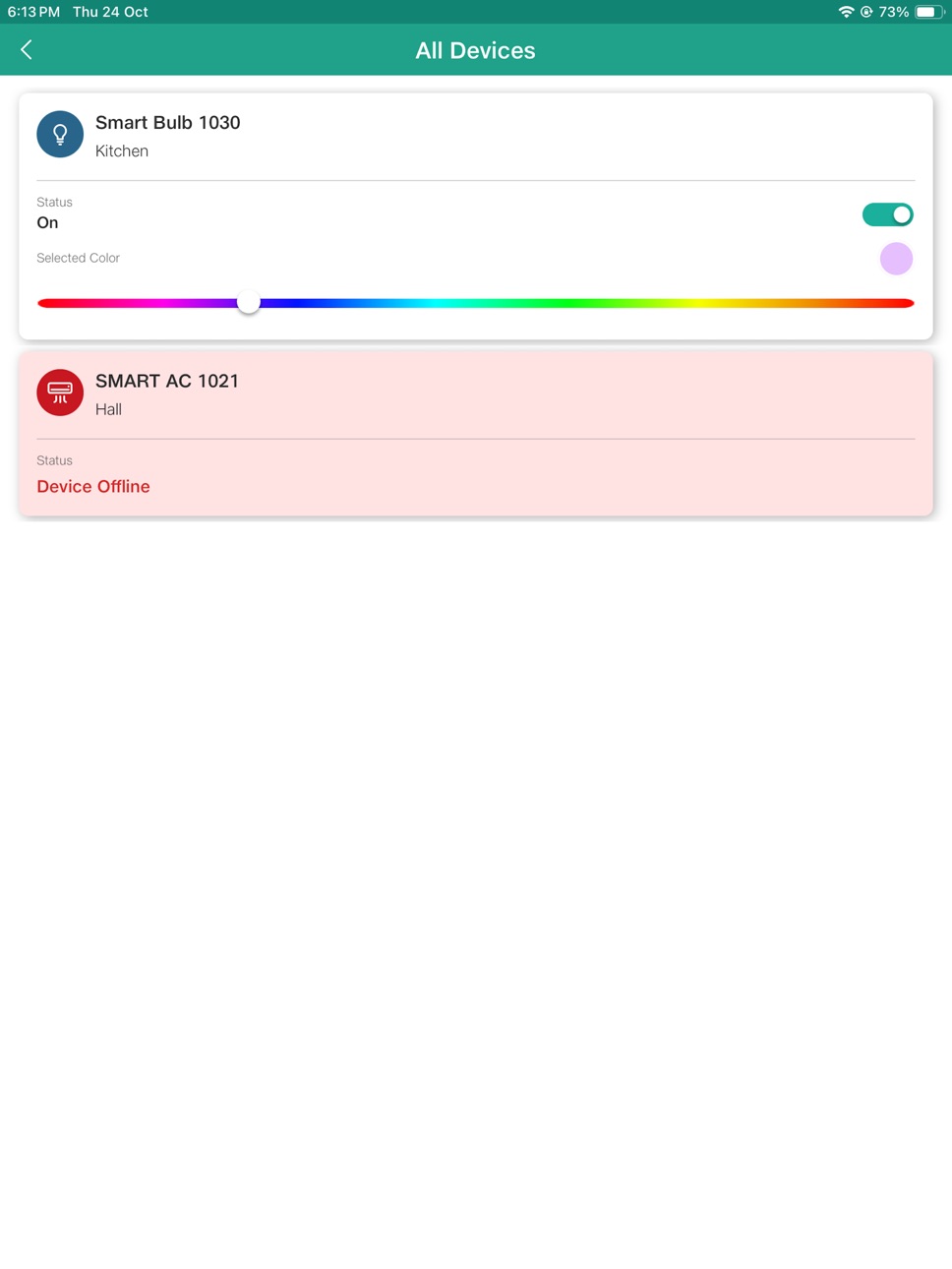 iPad screenshot