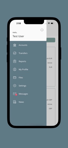 Paymiq Screenshot 5 of 8