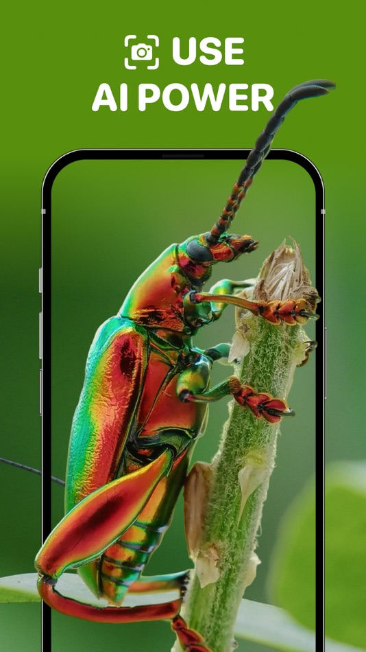 #3. Bugs id - Insect identifier ai (iOS) 由: Klimin Marketing SpA