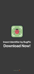 Insect Bug Identifier | BugPic screenshot