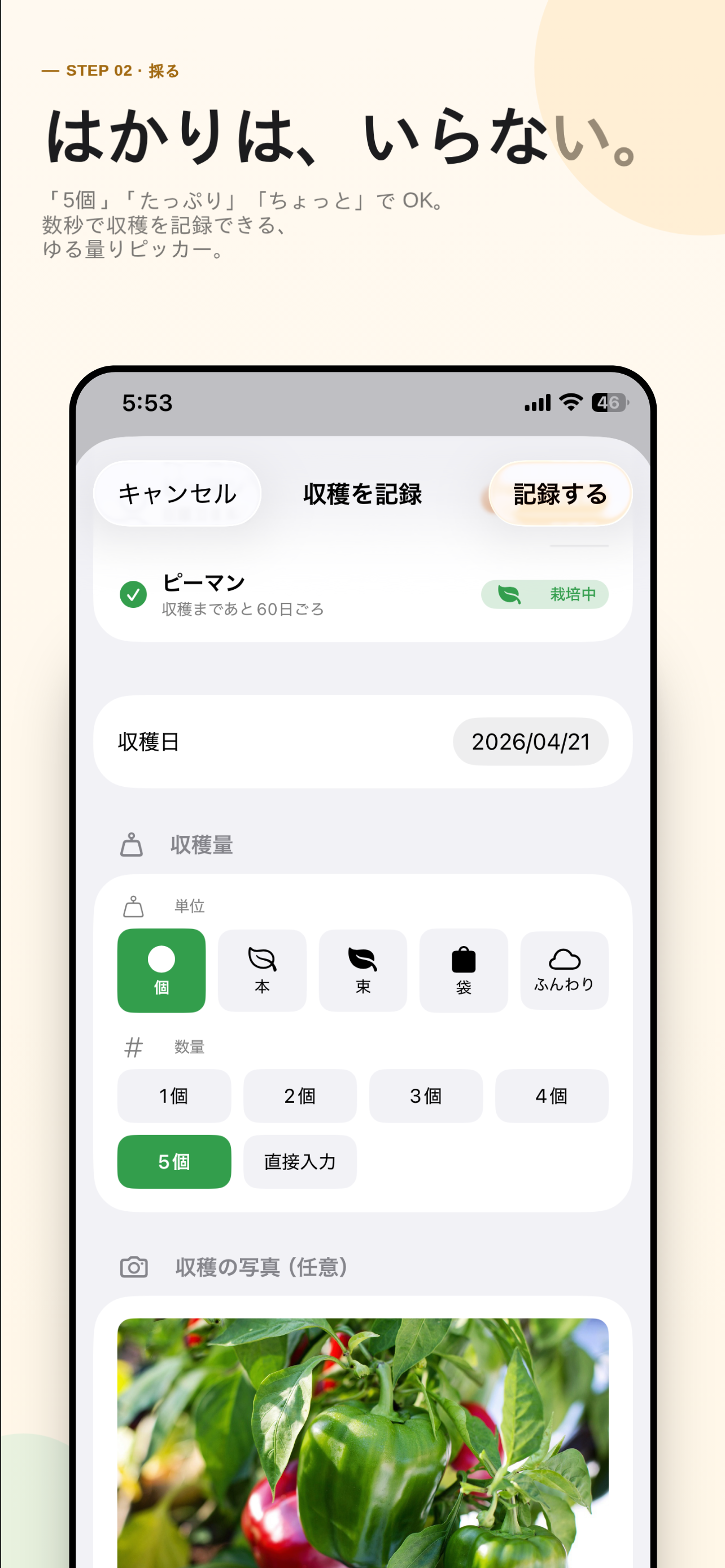 とれたべ