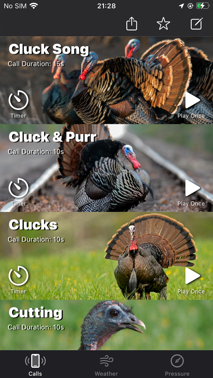 Turkey Calls for Hunting