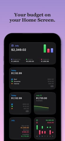 Monthly: Budget Planner screenshot 5