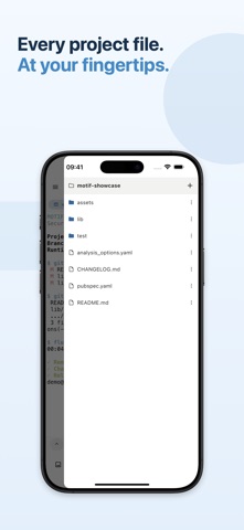 Motif - SSH & Codex screenshot