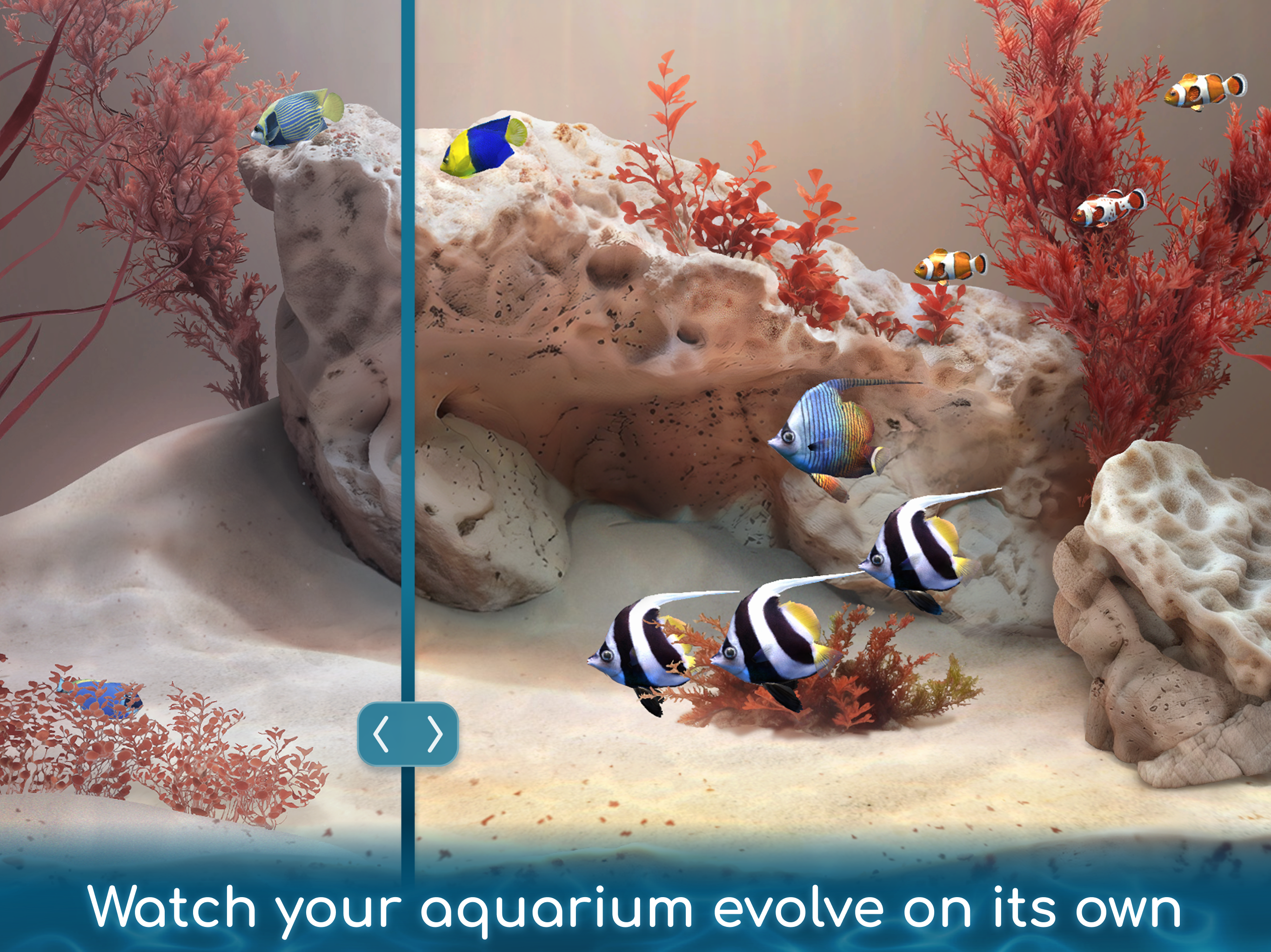 Drift: ASMR Aquarium screenshot 10