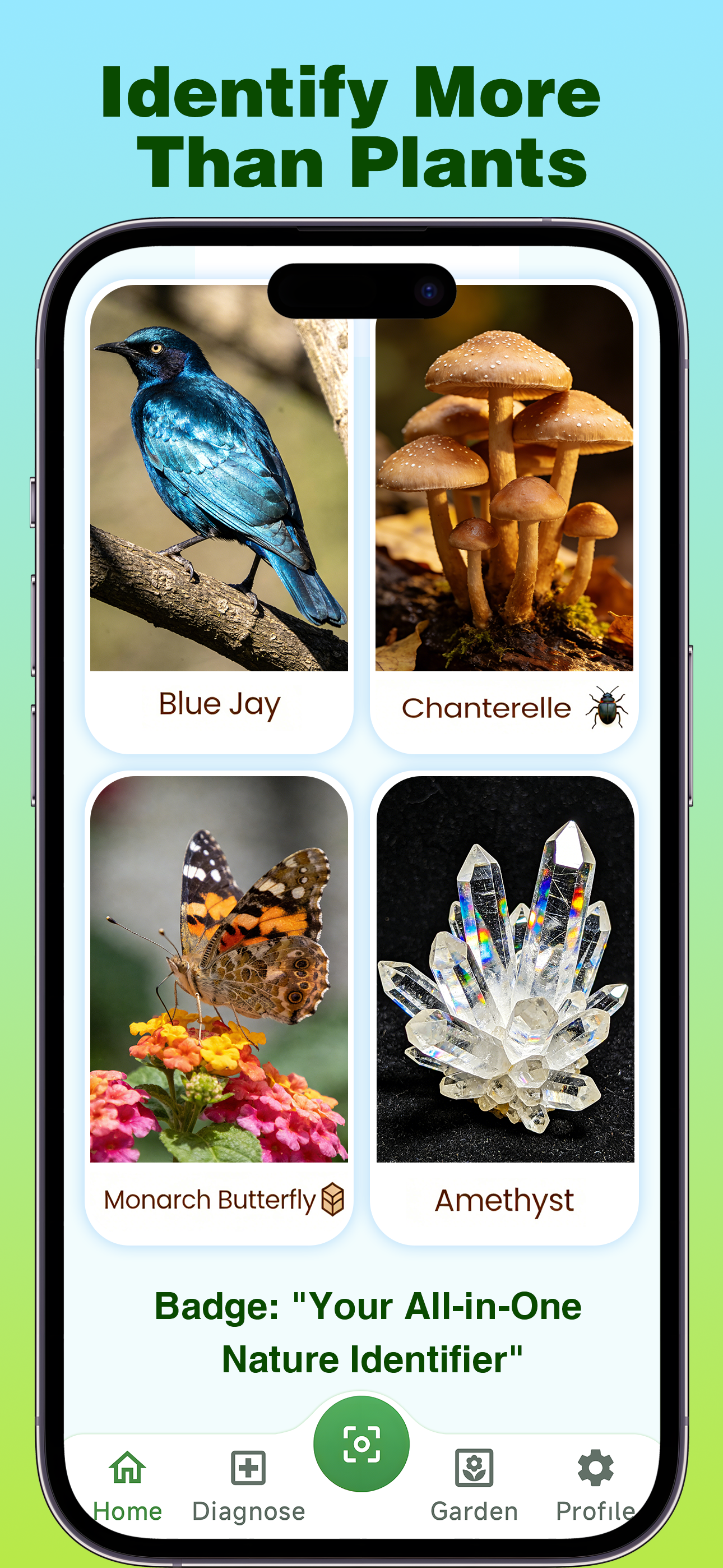 Plant Identifier - PlantAiSnap