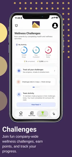 PyramidHub screenshot 2
