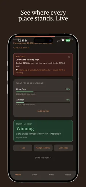Debt Payoff Budget - Forgo screenshot 4