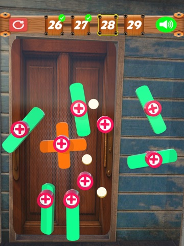 Unscrew Door Nut Sorting Game iPad screenshot