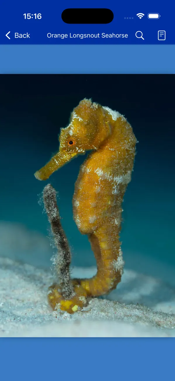 Screenshot #3 pour Bonaire Fish ID