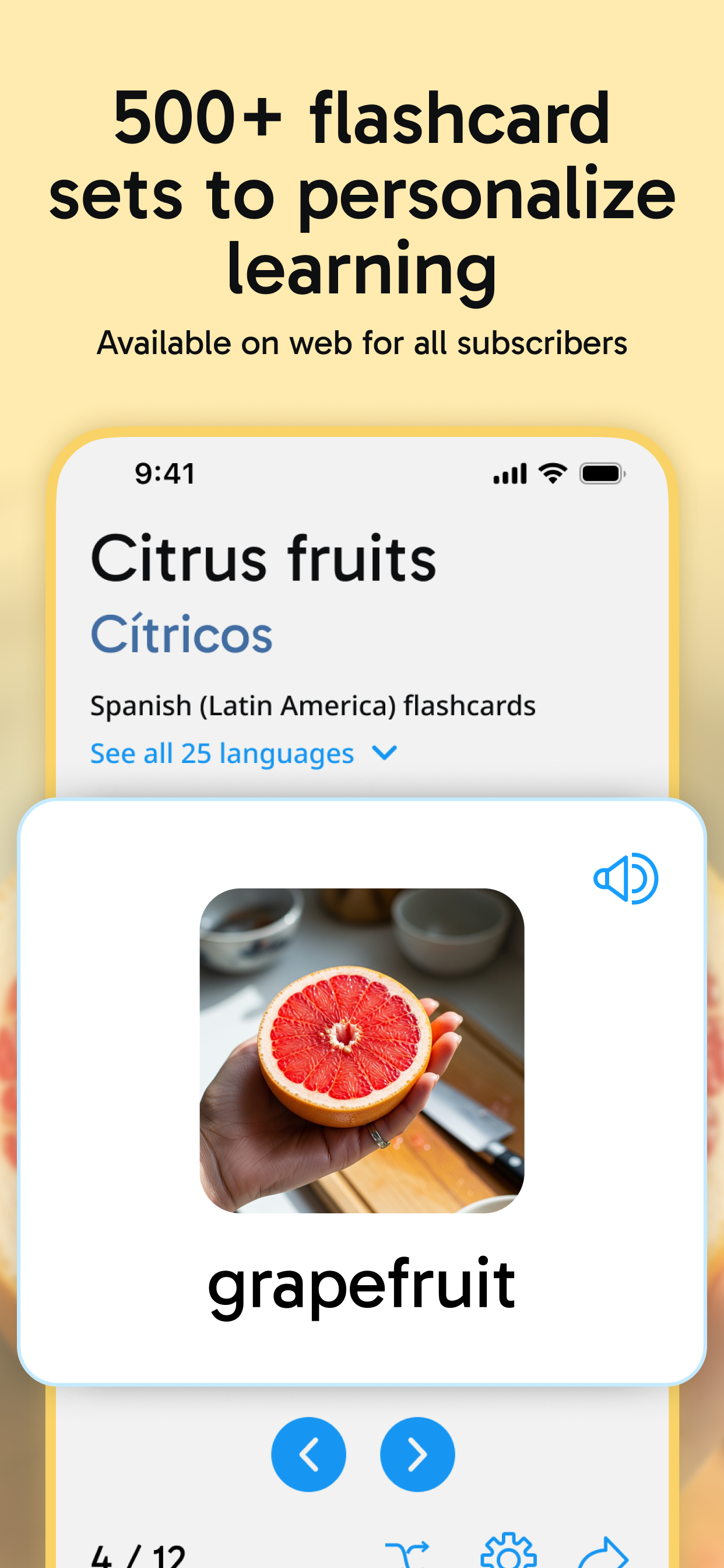 Rosetta Stone Sapphire screenshot 6
