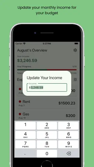 Sem: Budgeting screenshot 2