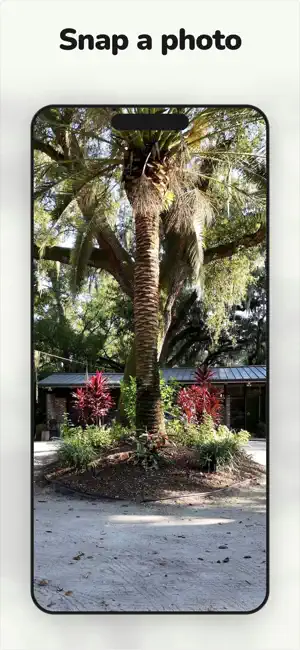 Biid: Snap a photo, get bids screenshot 2