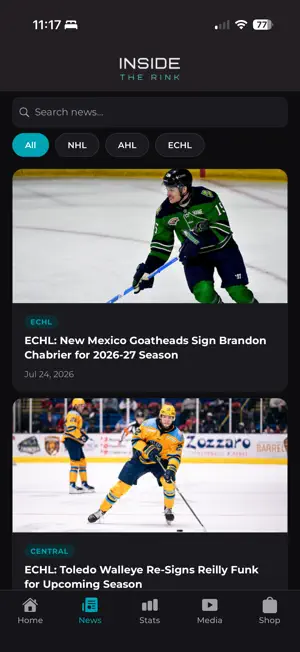 Inside The Rink screenshot 1