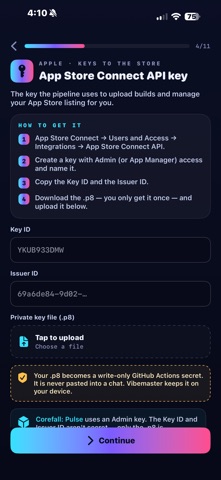 Vibemaster screenshot