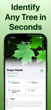 Tree Identifier: Tree id screenshot 3