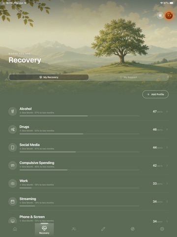 Renovyn iPad screenshot