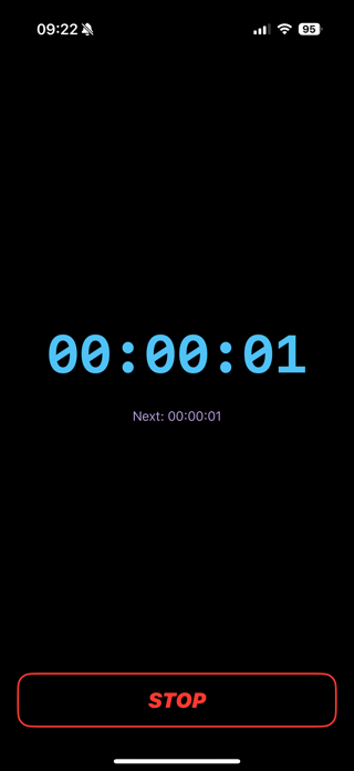 FlipTimer: Minimal Dual Timer Screenshot 2 of 3