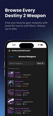 Destiny God Roll Hunter screenshot