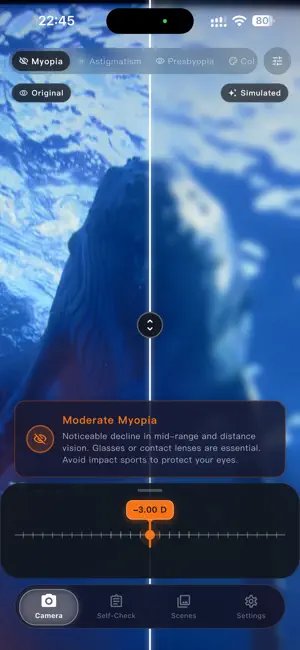 SightFrame: Vision Simulator screenshot 1