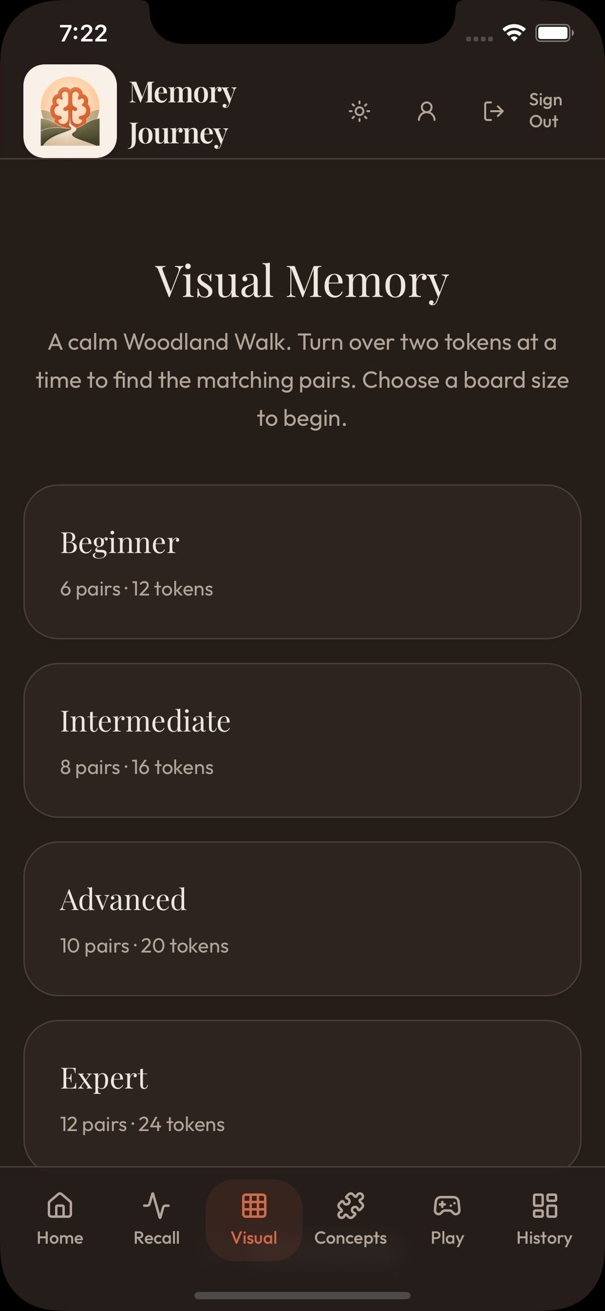 Memory Journey screenshot 8