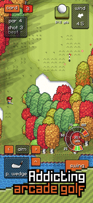 Pixel Pro Golf Screenshot