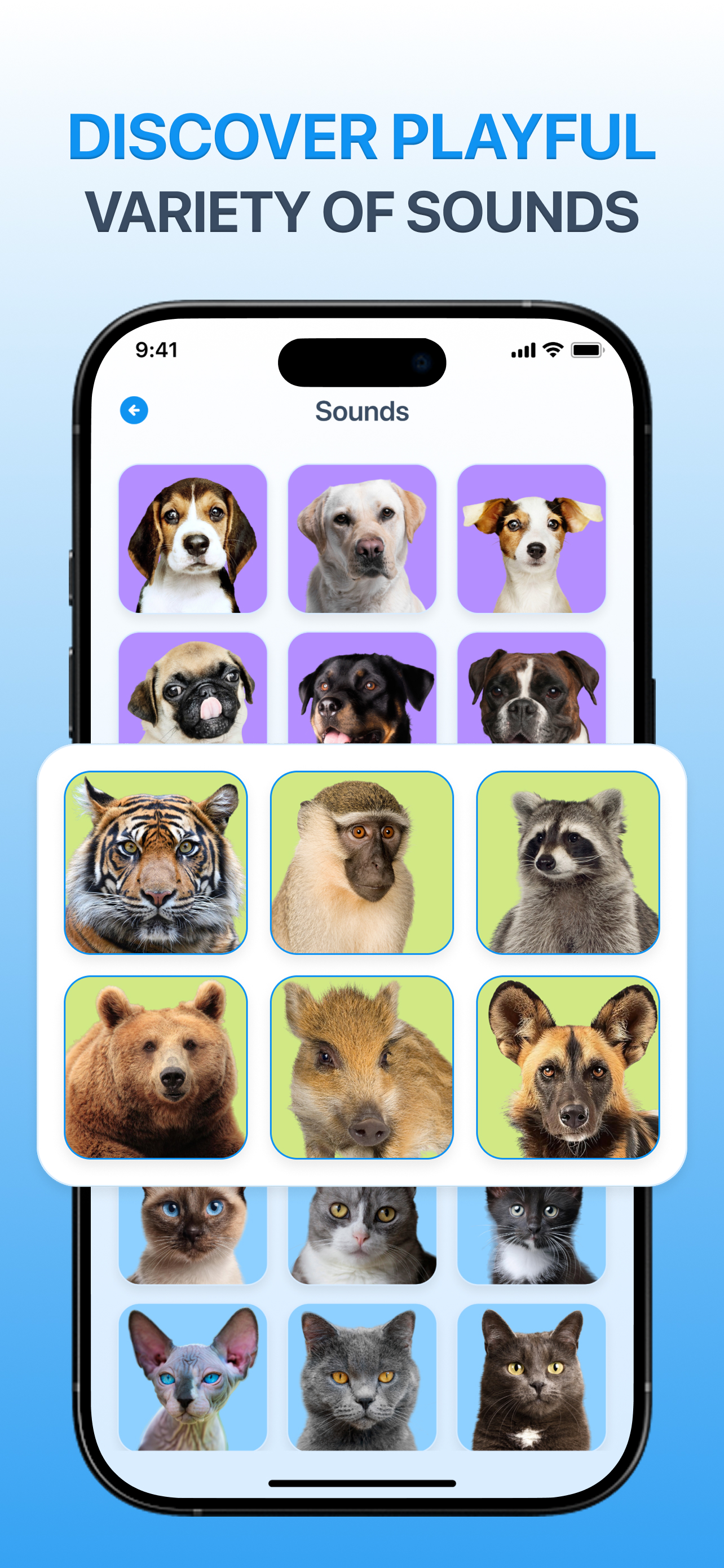 Pet Translator: Talk to Pet. screenshot 5