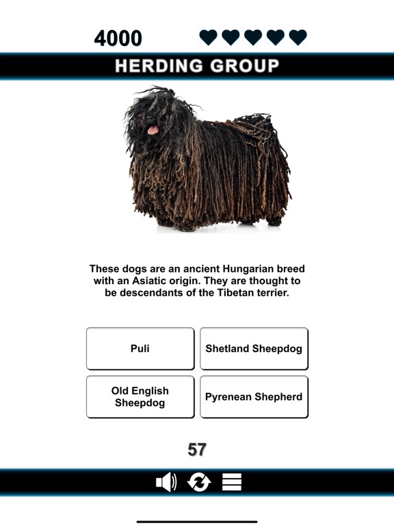 Good Dog iPad screenshot 6 - Education app