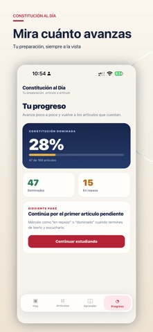 Constitución al Día screenshot 6