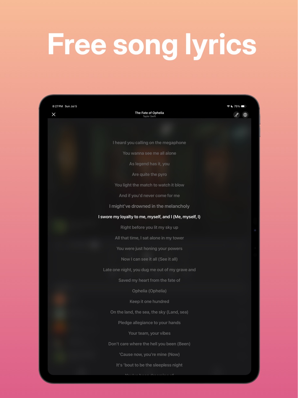 iPad screenshot