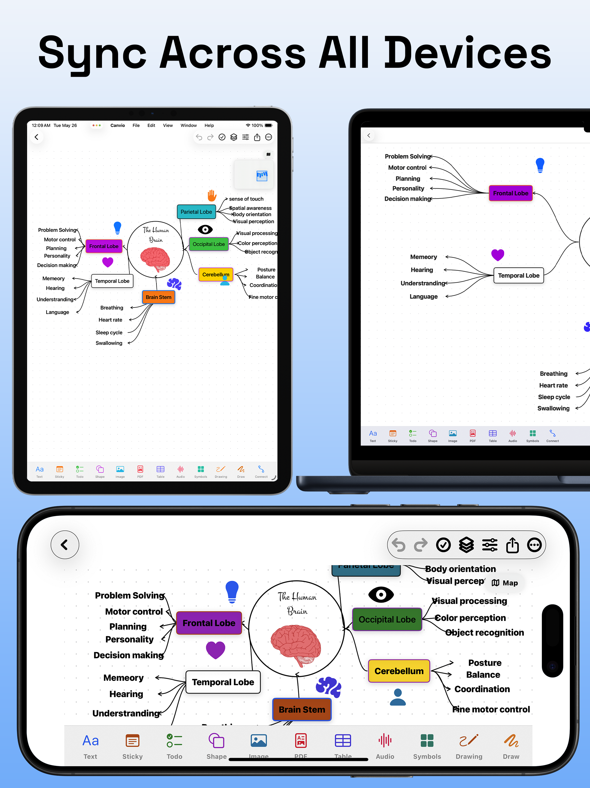 Canvio: Mind Maps & Notes