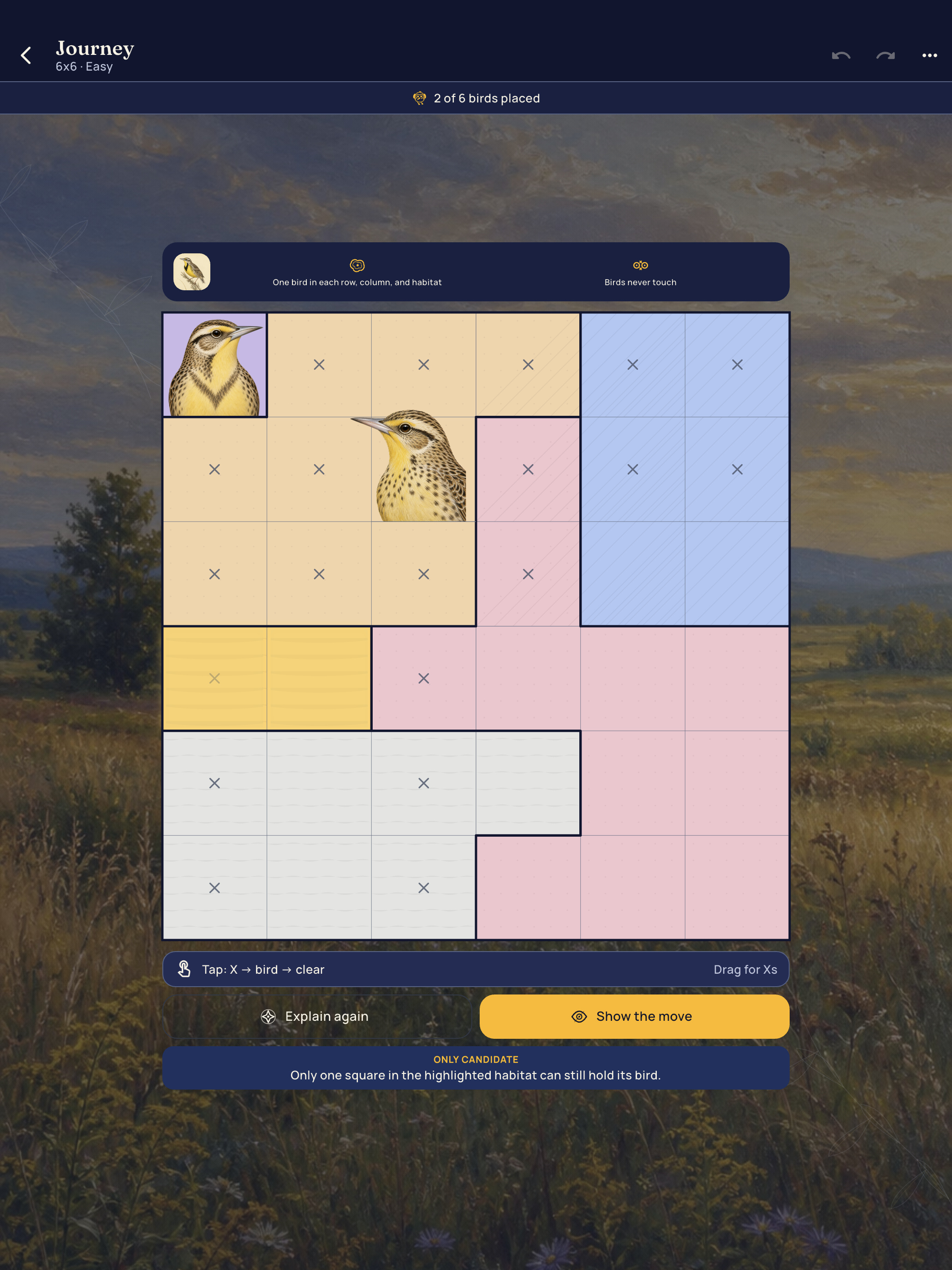 Kingfisher: Bird Logic Puzzle screenshot 11