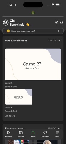 PIBON screenshot