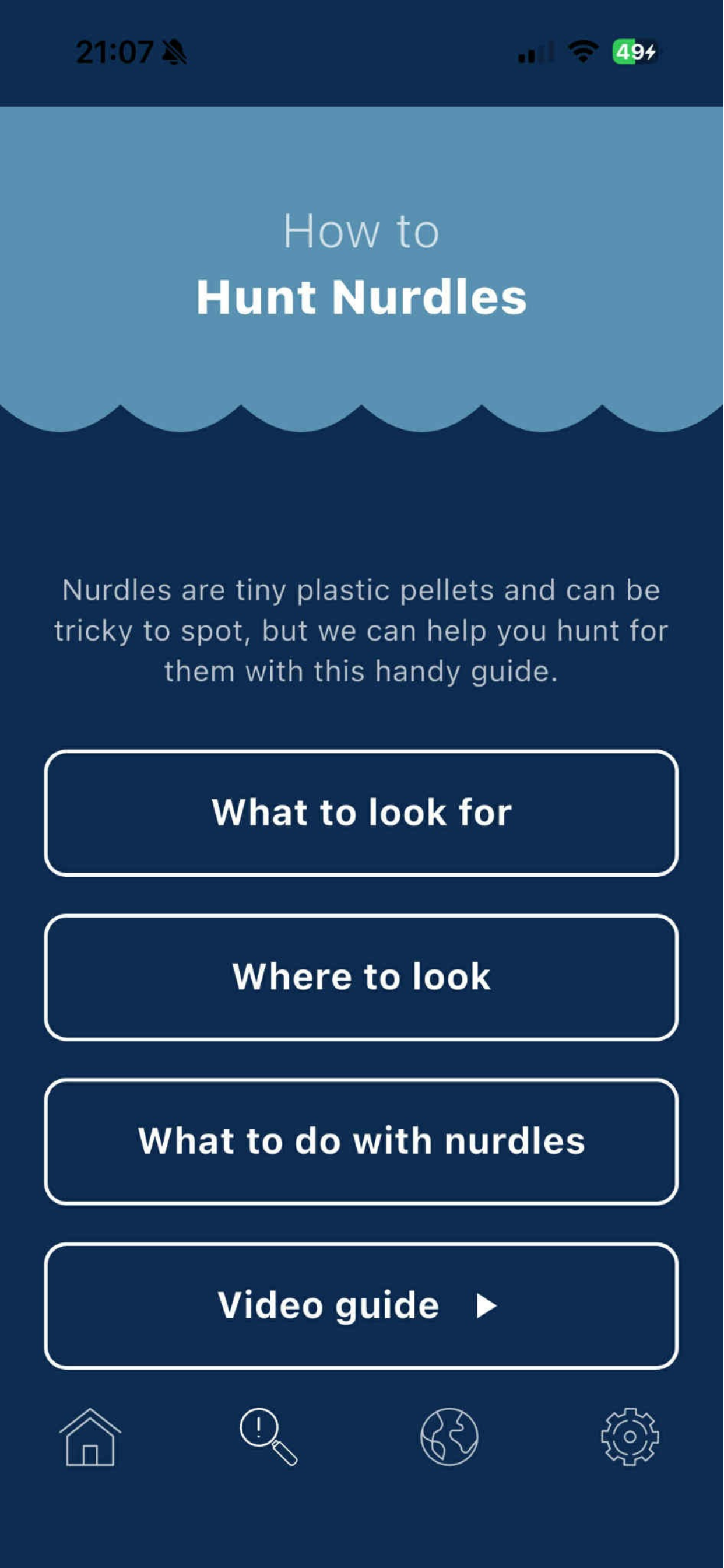 The Great Nurdle Hunt