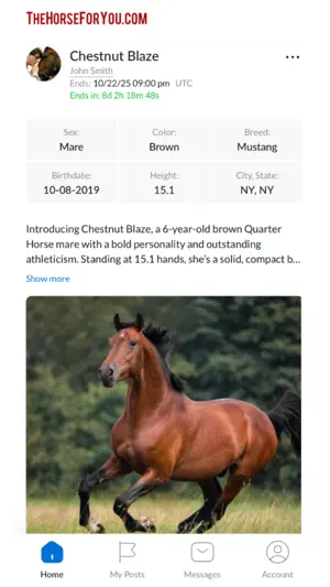 THFY - The Horse For You screenshot 1