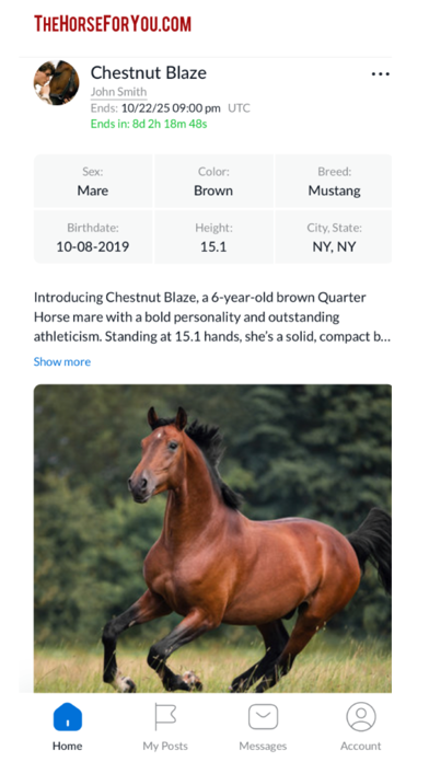 Screenshot 1 of THFY - The Horse For You App