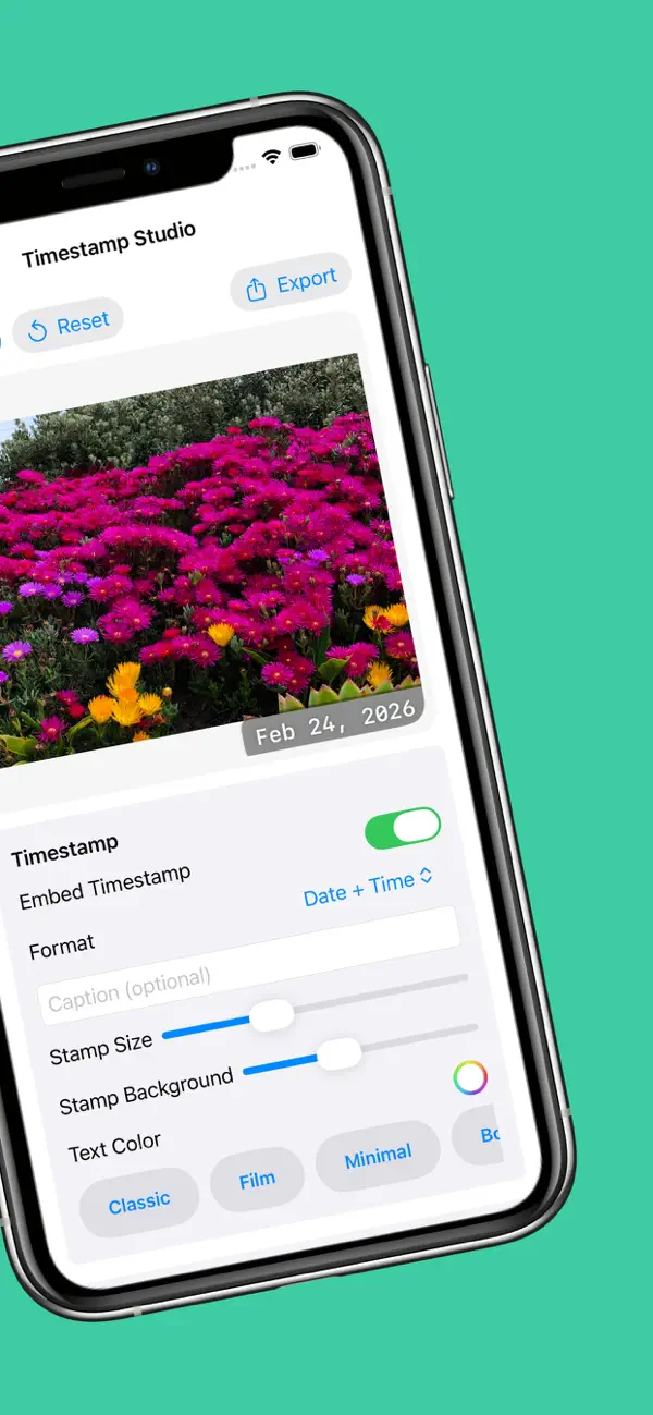 Screenshot #2 pour Timestamp Studio
