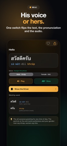 Thai Travel Phrasebook: Wai iPhone screenshot