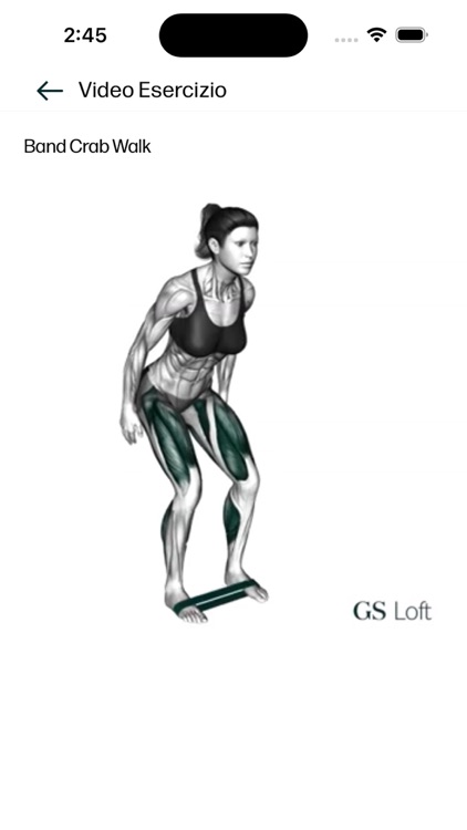 GS Loft screenshot-4