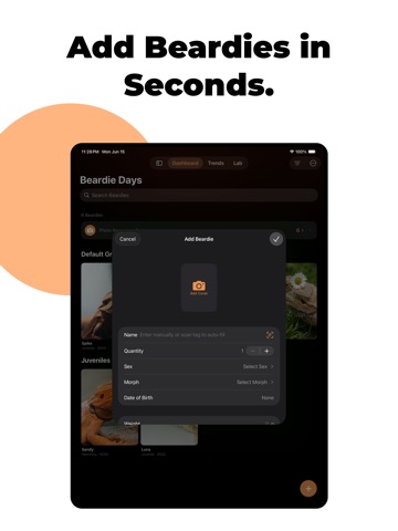 Beardie: Gecko Supplement Care iPad screenshot