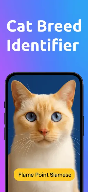 Cat Breed Identifier AI Scan screenshot 1