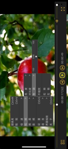 ulookplayer screenshot