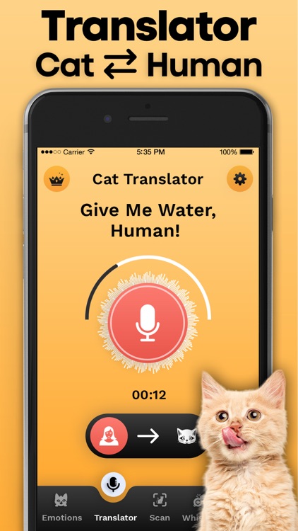 Cat Translator